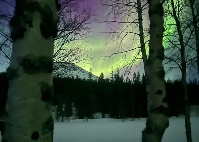 Nordnorge *
