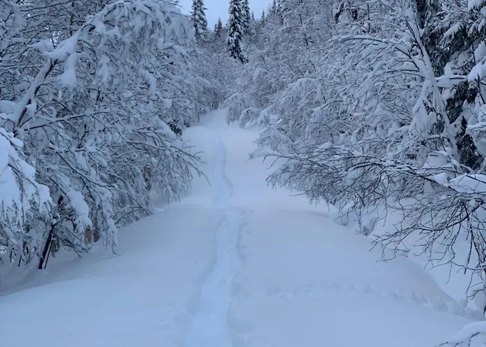 Lägenhet Nordnorge *