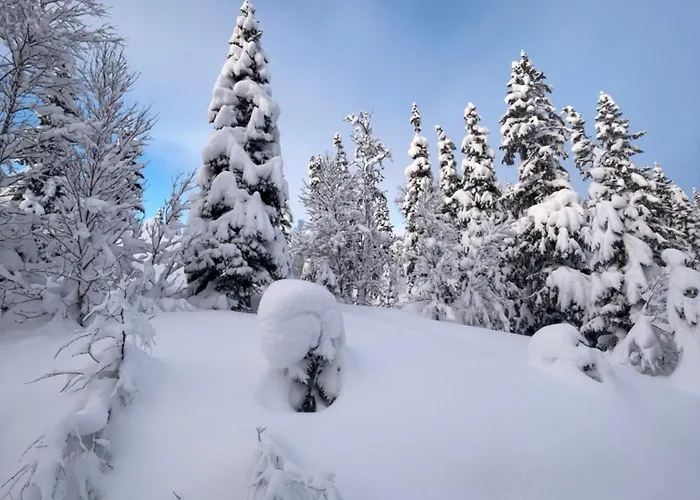 Lägenhet Nordnorge *