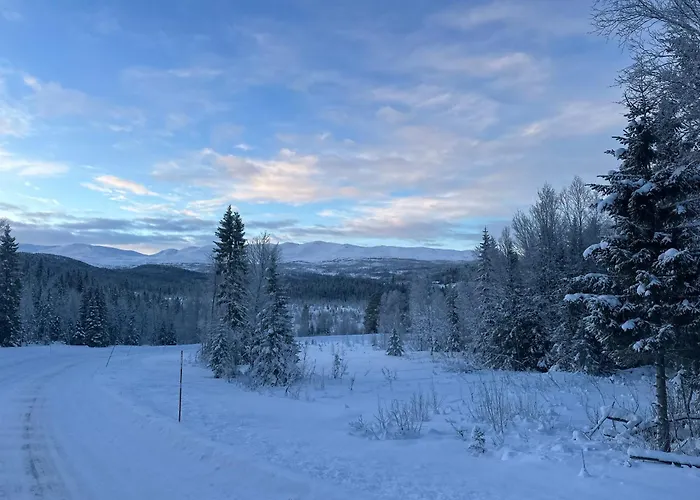 Nordnorge *