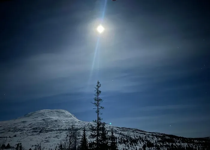 Nordnorge Lägenhet Mjåvatn